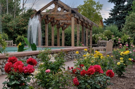 Blooming roses of yellow, pink, and red surround a decorative fountain.
