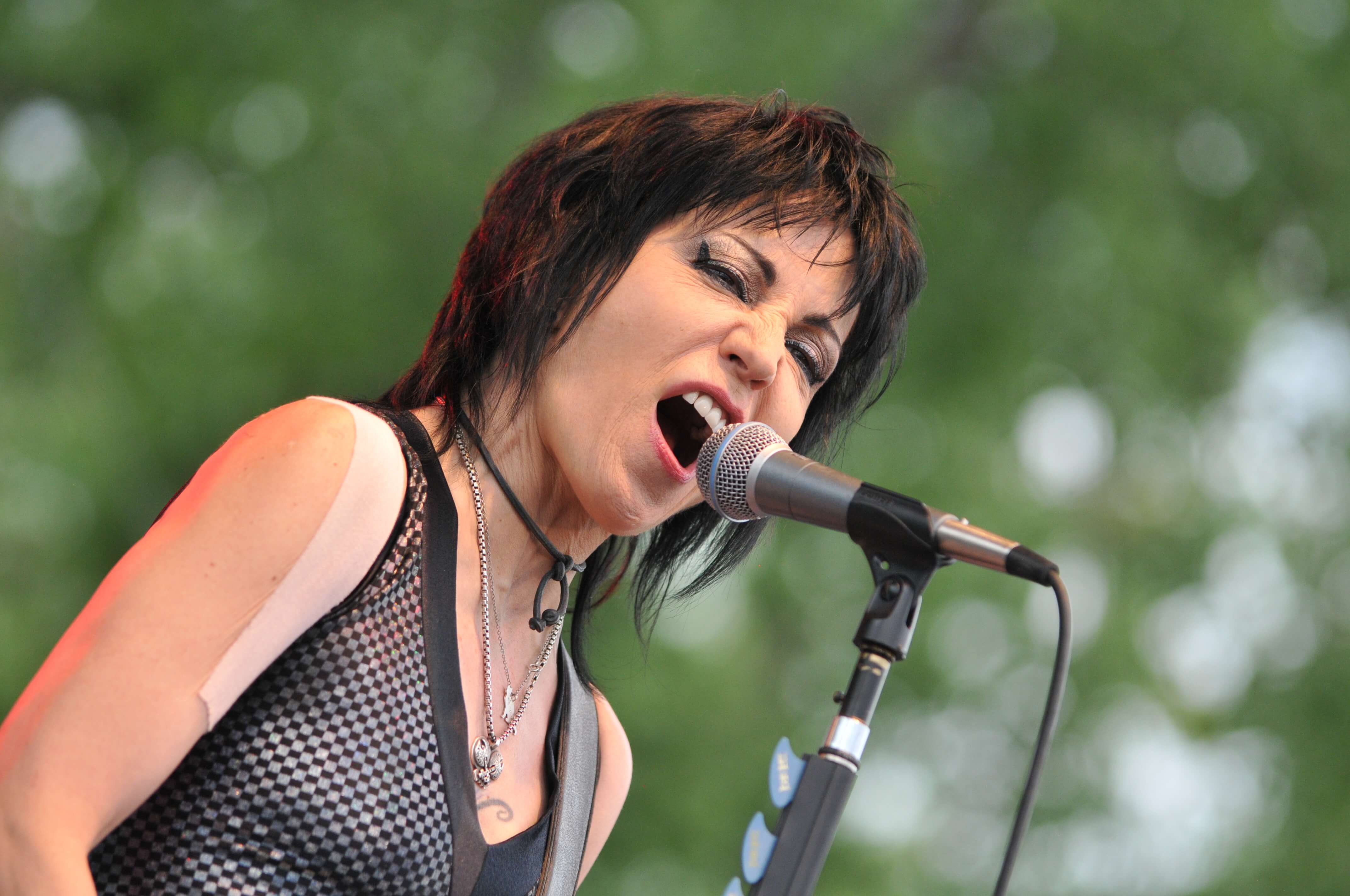 Joan Jett and the Blackhearts in concert