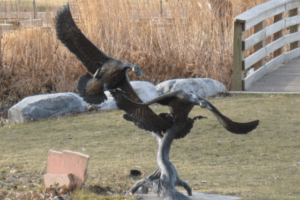 Bronze sculpture portraying several geese in flight