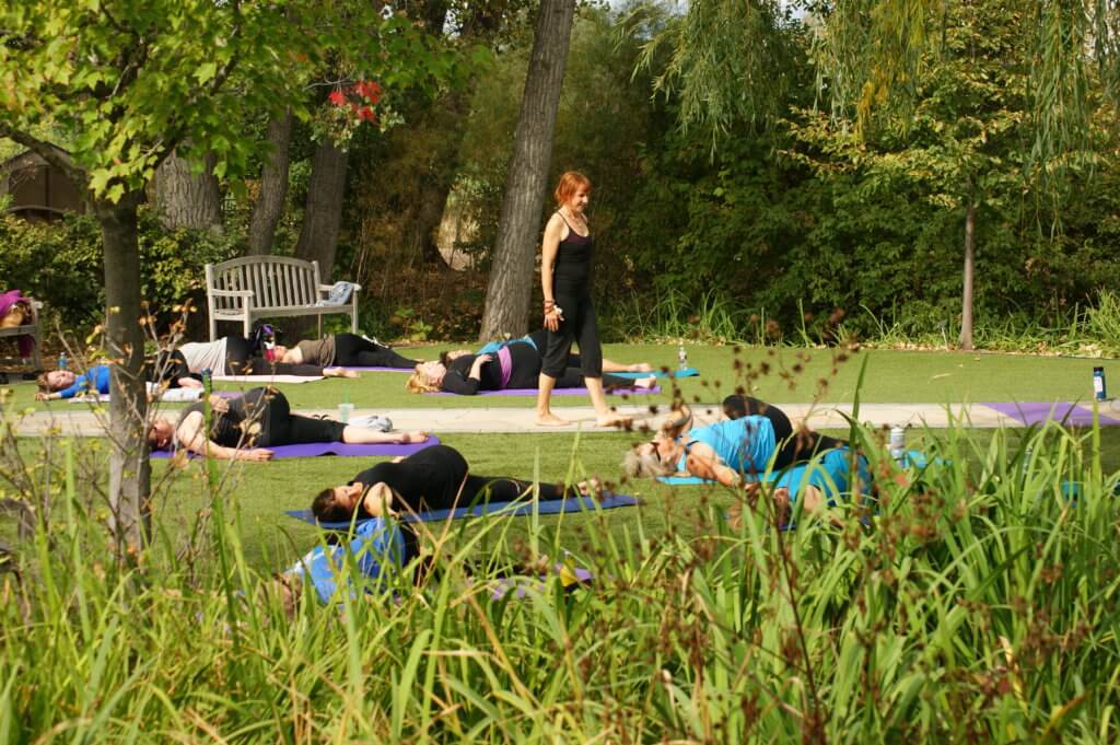 Photo of people doing yoga at Hudson Gardens