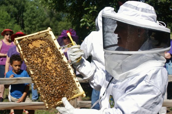 Meet the Beekeeper