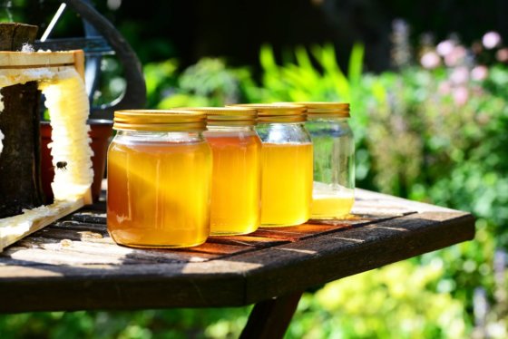 Honey harvest products of hive