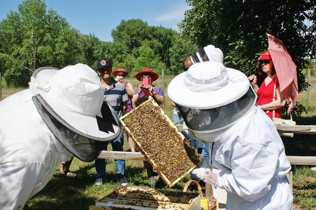 Meet the Beekeeper