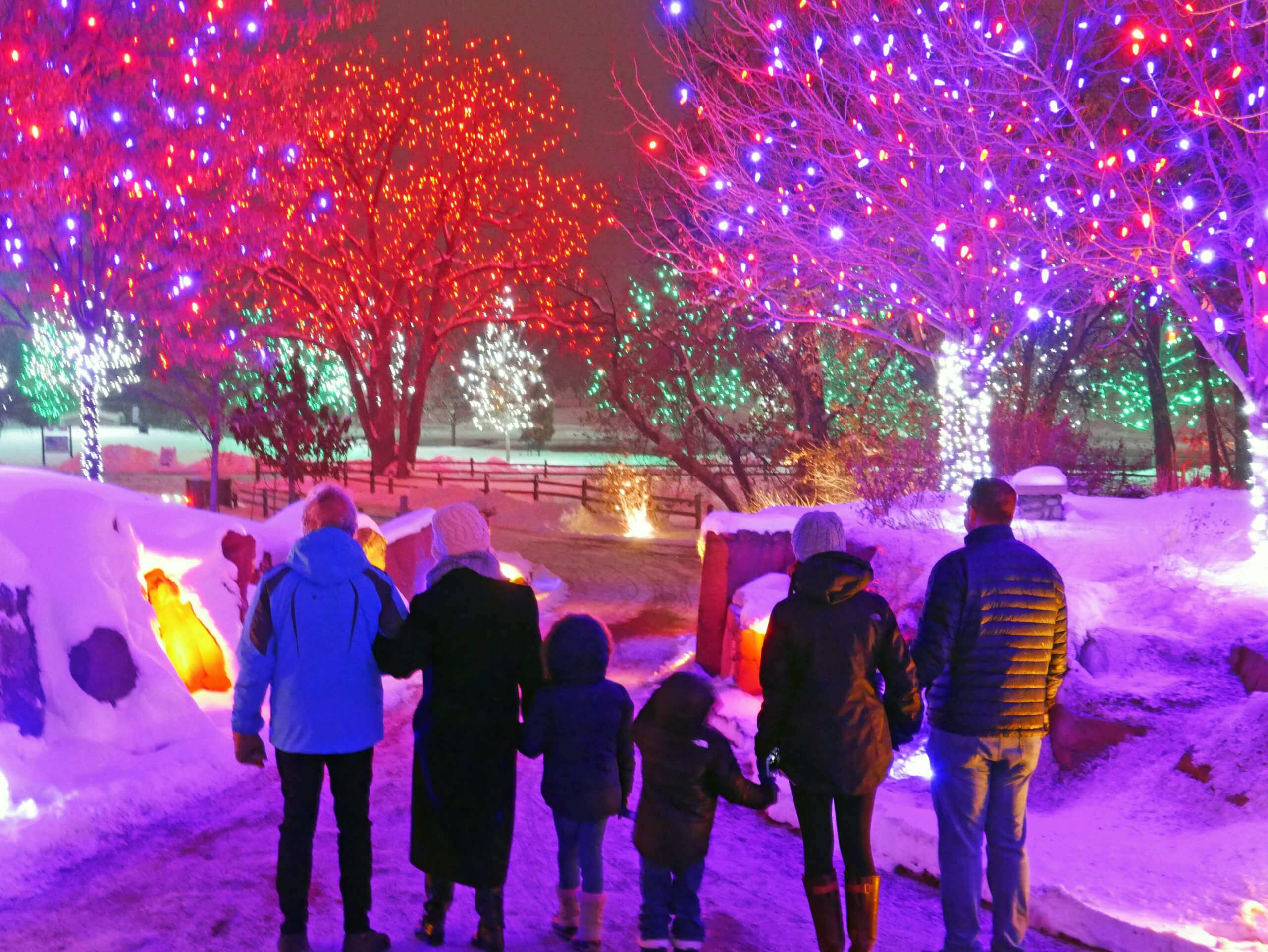 A family holds hands while walking through a pathway framed by purple, silver, pink, red, and green holiday lights.