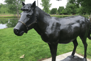 Horse sculpture in bronze at Hudson Gardens