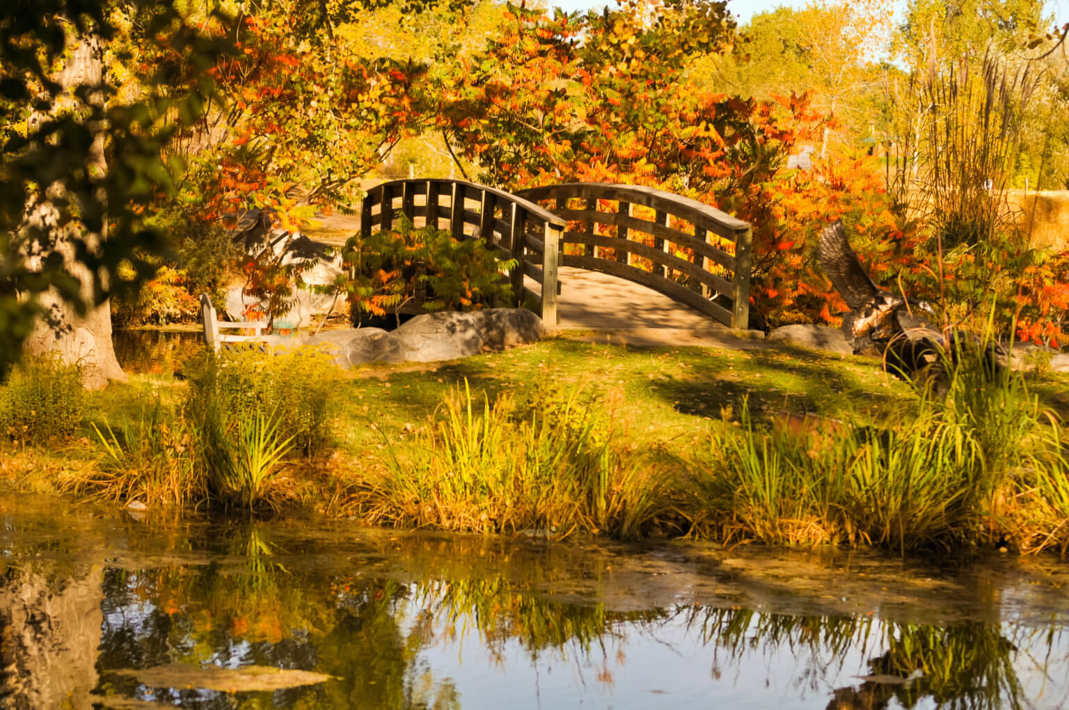 Must See and Do Fall & Winter The Hudson Gardens & Event Center