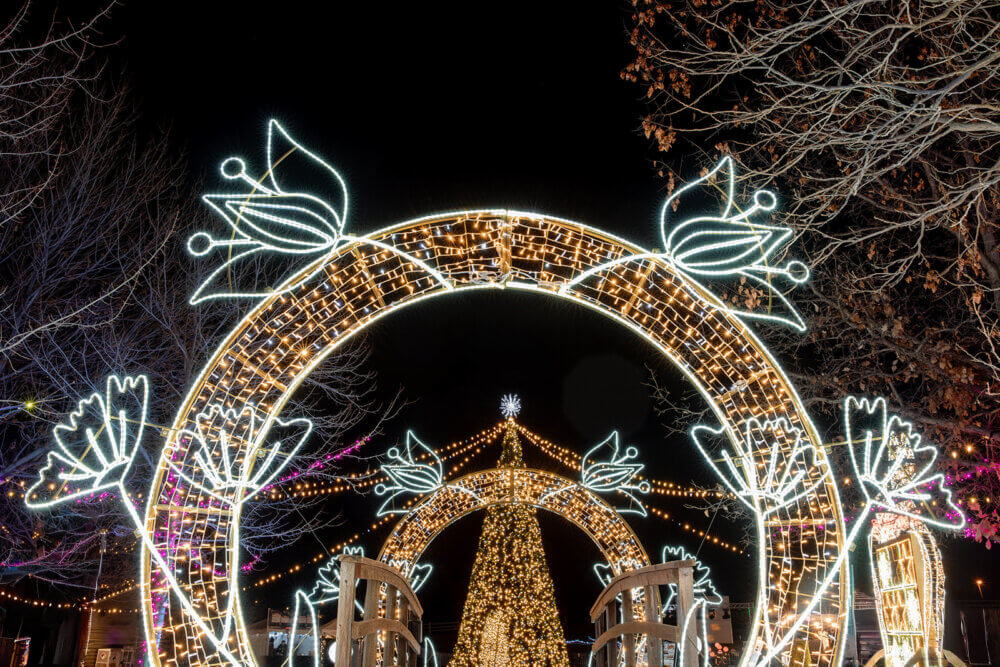Floral archways with large lighted christmas tree in the background