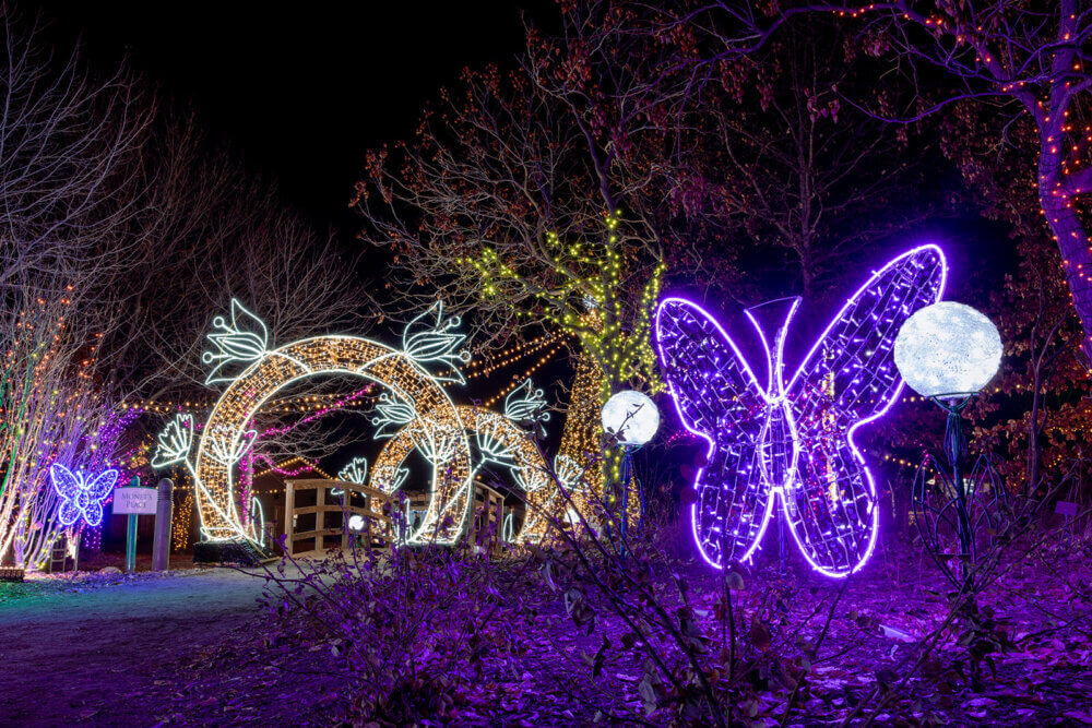 Lighted butterfly displays with floral archways