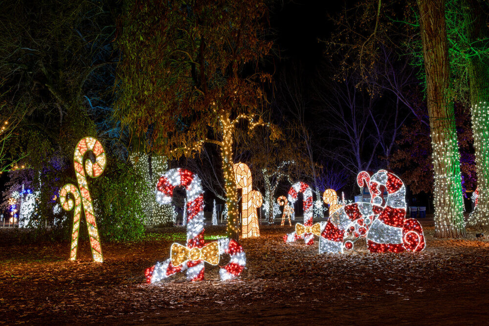 Candy cane light displays and trees wrapped in lights
