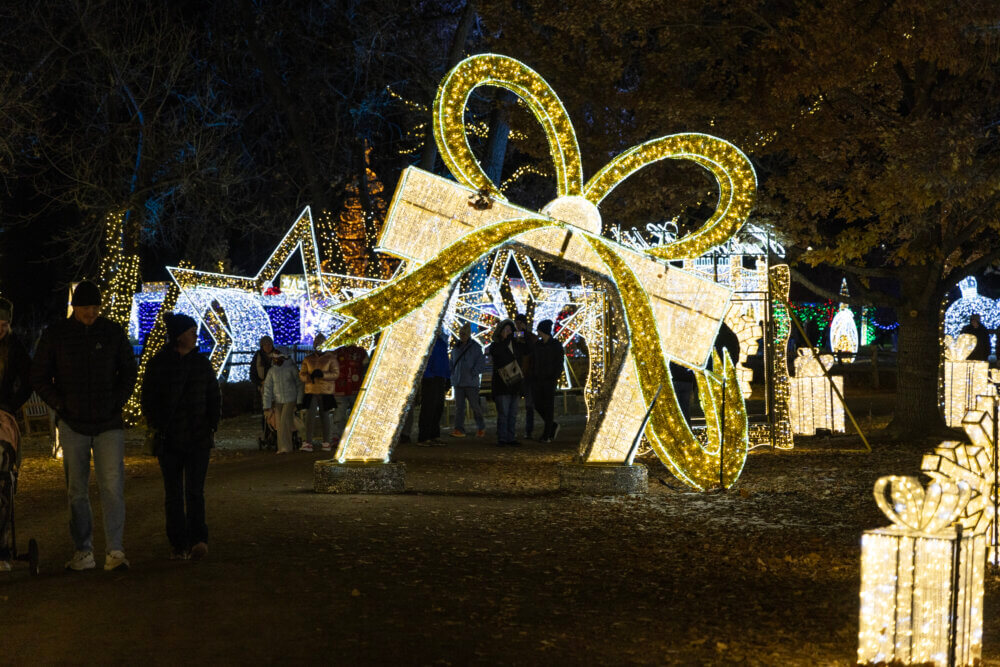 Variety of gold lighted present displays