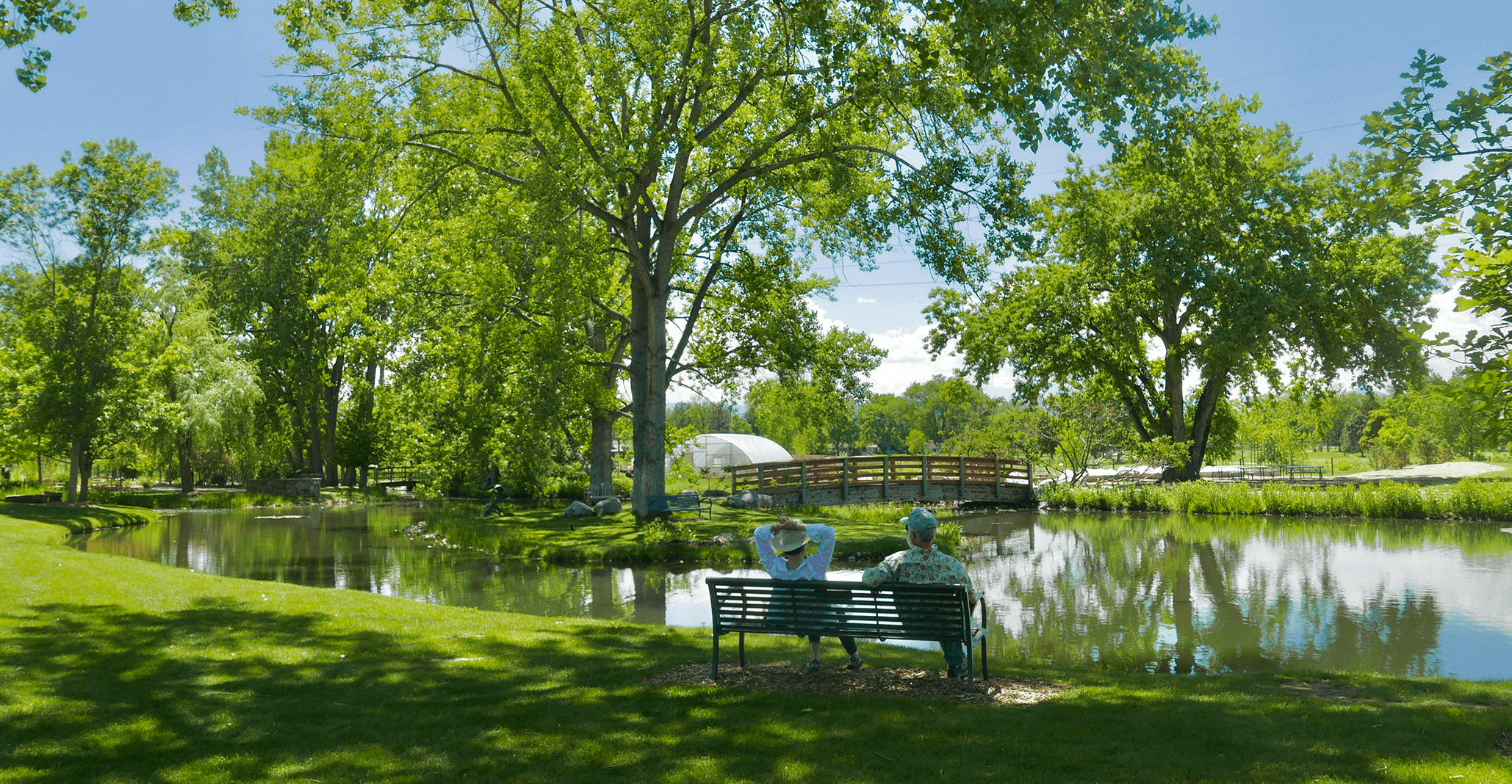 Banner image of the pond in Summer withe the footbridge in the center