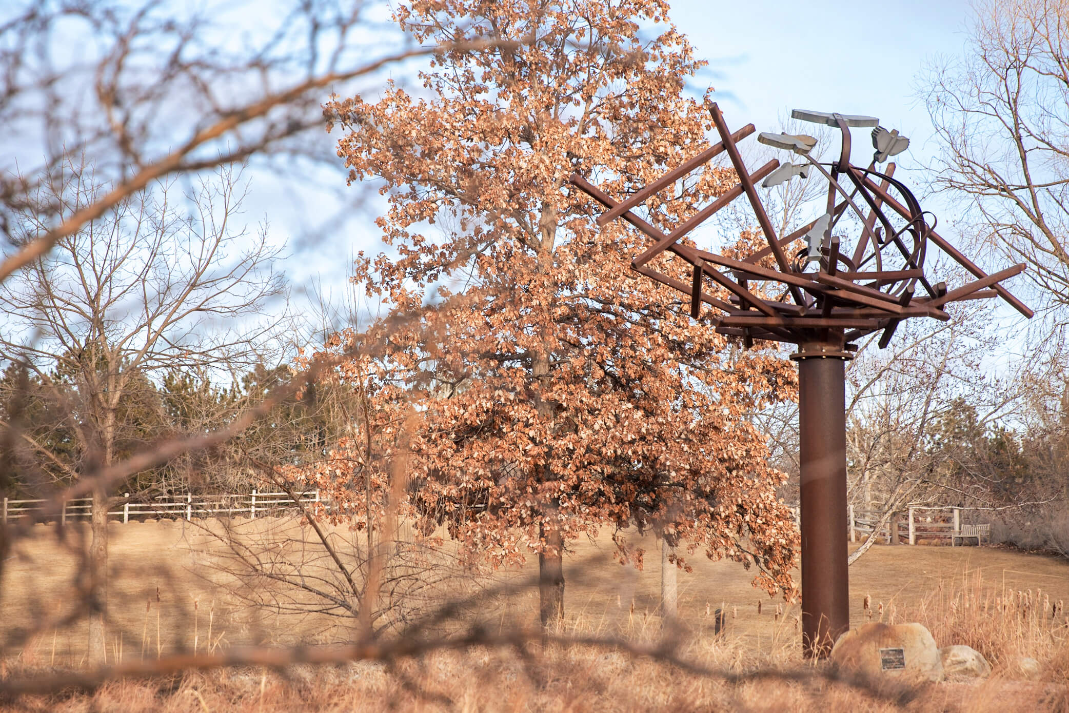 Hudson Gardens Sculpture