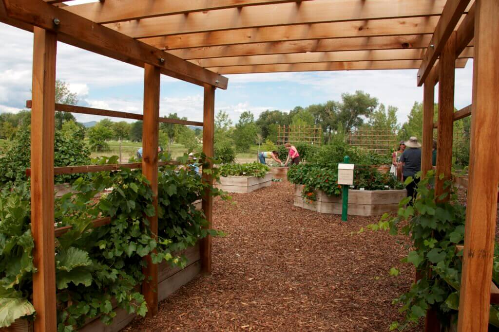 Vegetable garden at Hudson Gardens