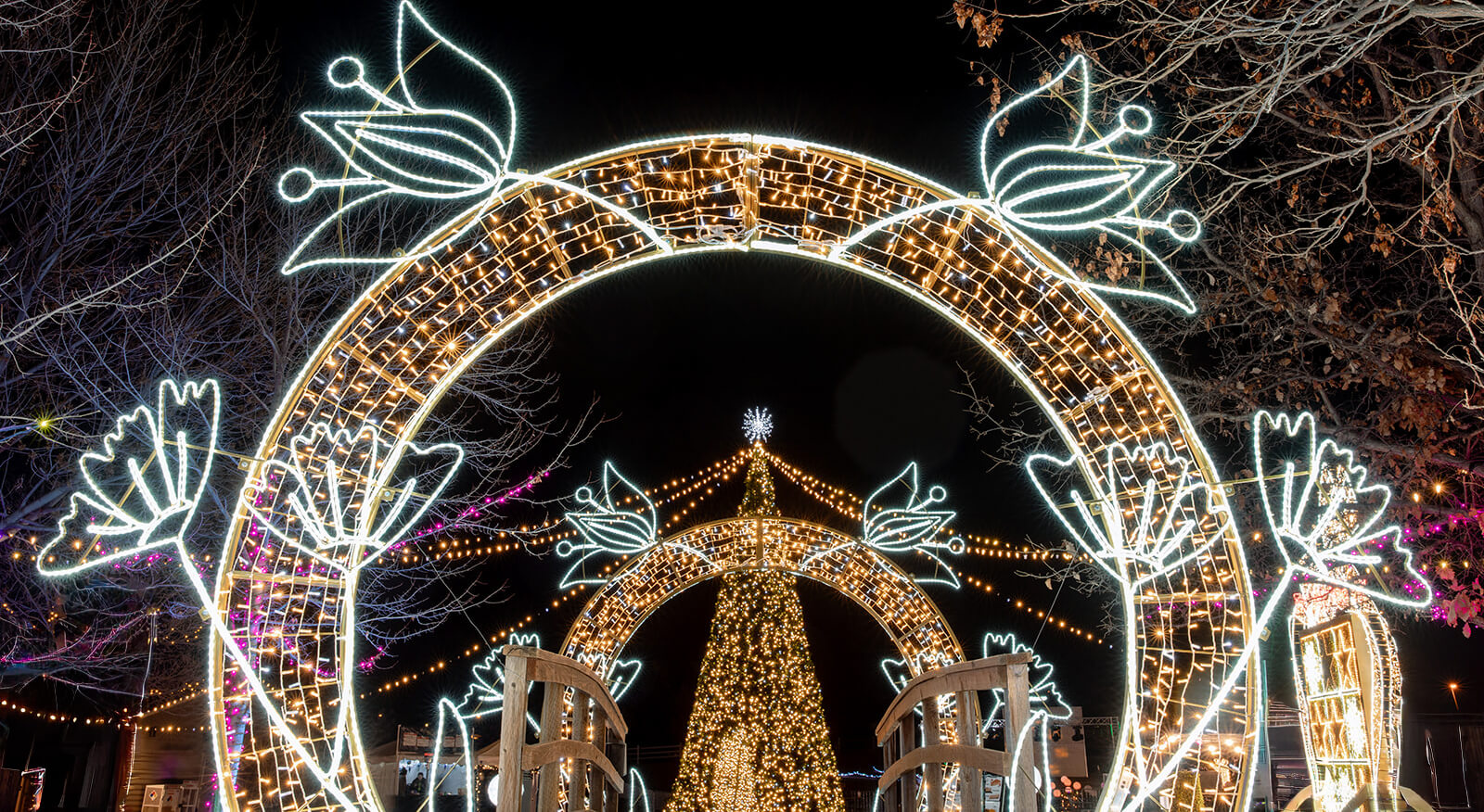 Light display at Hudson Holidays. Lighted arches with floral designs leading to large, lighted holiday tree.